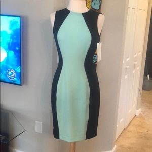 Size 10 Blue and Black Boston Proper Dress NWT